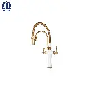 شیر-دومنظوره-برلین-راشین.webp