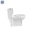 فرنگی-آدنیس-چینی-کرد-3.webp