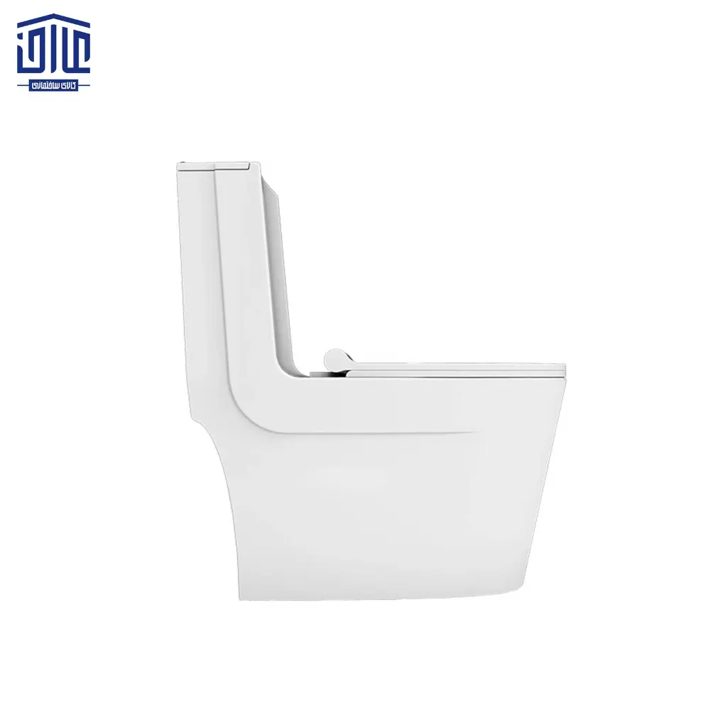 فرنگی-آویسا-چینی-کرد-3.webp