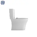 فرنگی-مدل-کانسپت-ب-ش-د-چینی-کرد،-درجه-2-3.webp