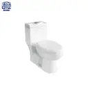 فرنگی  لوییزا چینی کرد