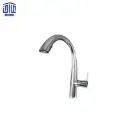 شاوری مارسلا راشین