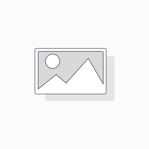 روما شیر توالت راشین