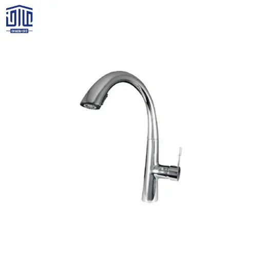 شاوری مارسلا راشین