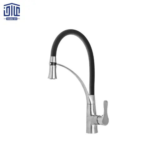 شیر شاوری مارتینا راشین